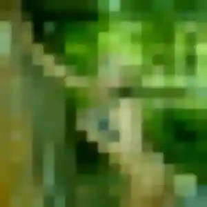 Jihane, 41 ans, connectée à Sinnamary pour une rencontre coquine