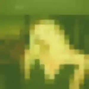 Alina, 44 ans, en ligne à Soisy-sur-École pour une rencontre coquine