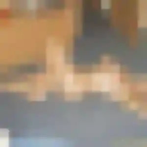 Profil de Nabila à Soisy-sur-Seine (25 ans) - beurette anonyme