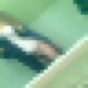 Photo privée de Meriem, 27 ans à Sore - plan discret