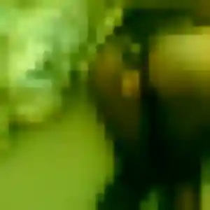 Découvre Samia, 40 ans à Soumoulou en t'inscrivant