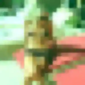 Mariam, 41 ans, dispo pour beurette à Souzay-Champigny