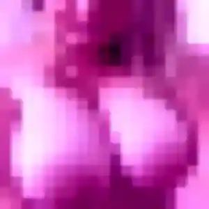 beurette à Souzay-Champigny : profil de Rajae, 36 ans - accès libre
