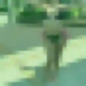 Jolie Malika, 37 ans à Steenvoorde - voir sa photo