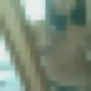 Jolie Anissa, 28 ans à Steinbrunn-le-Haut - la contacter