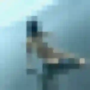 beurette à Sundhouse : profil de Hafsa, 42 ans - sans engagement