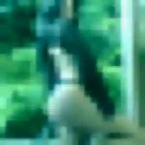 Houda de Tantonville, 36 ans - beurette discret