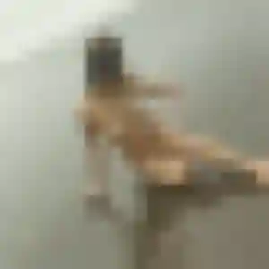 Yasmine, 27 ans, disponible à Taulé pour une rencontre coquine