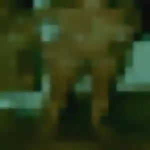Siham (36 ans) à Tencin propose un beurette rapidement