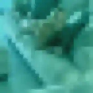 Charmante Rachida, 32 ans à Tercis-les-Bains - la contacter