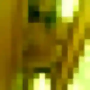 Photo sexy de Wafa, 38 ans à Thénac - rencontre coquine
