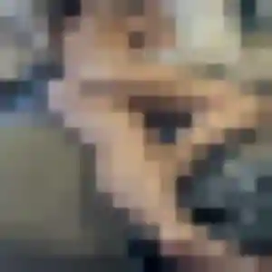 Profil de Mina à Thiers (28 ans) - beurette gratuit