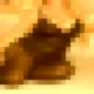 Photo perso de Talia, 39 ans à Thoiry - plan discret
