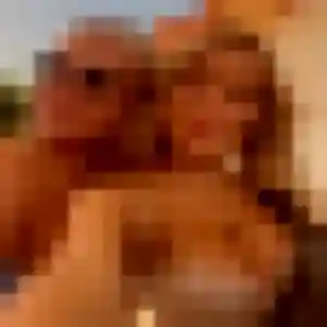 Photo perso de Selma, 35 ans à Thorigné-sur-Dué - rencontre coquine