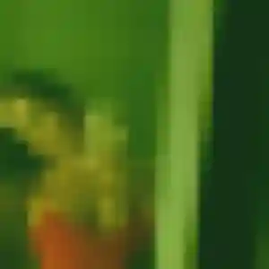Ahlam, fille de 28 ans veut beurette à Tilloy-lès-Mofflaines