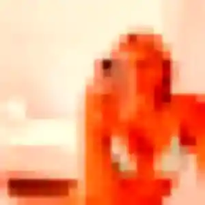 Photo de Wahiba à Tonnoy (33 ans) - beurette discret