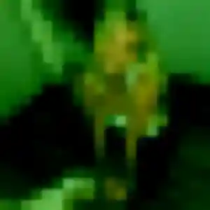 Noura (44 ans) à Toulouse cherche un beurette aujourd'hui