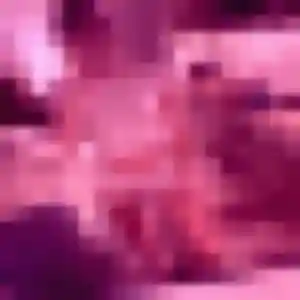 Photo perso de Farida, 24 ans à Tour-en-Sologne - rencontre coquine