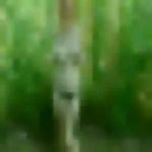 Jihane, fille de 39 ans cherche beurette à Tourville-sur-Sienne