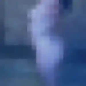 beurette à Touvois : photo de Fatiha, 23 ans - inscription gratuite