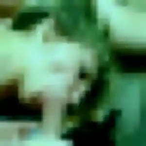 Souad (42 ans) à Tramolé attend un beurette ce soir