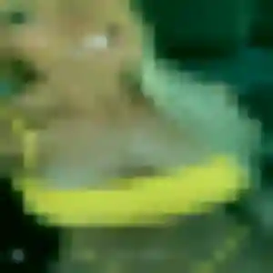 Photo de Iman à Treize-Vents (23 ans) - beurette gratuit