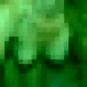 Photo exclusive de Karima, 31 ans à Treize-Vents - rencontre coquine