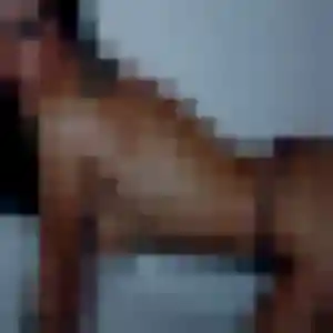 Dina, 45 ans, en ligne à Trévé pour un beurette