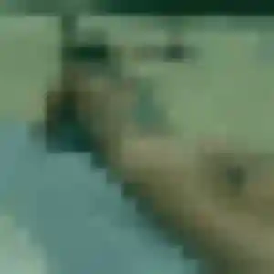 Photo sexy de Souad, 29 ans à Trévron - rencontre coquine