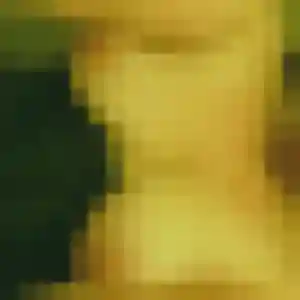 Photo de Nissa à Triors (26 ans) - beurette sans inscription
