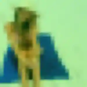Photo perso de Nadia, 31 ans à Tuchan - rencontre coquine