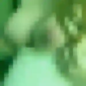 beurette à Usson-en-Forez : photo de Safiya, 36 ans - accès libre