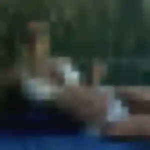 Farida, 36 ans, connectée à Val-d'Izé pour une rencontre coquine