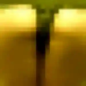 Profil de Fouzia à Val-d'Ornain (45 ans) - beurette anonyme