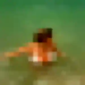 Photo sexy de Alya, 28 ans à Val-de-Virieu - rencontre sans lendemain