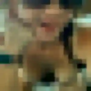 Sexy Dounia, 42 ans à Valence-sur-Baïse - voir sa photo