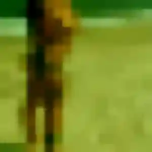 Malika, 41 ans, disponible à Valencisse pour une rencontre coquine