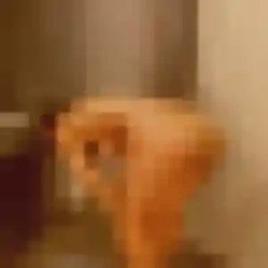 Chaima de Vallon-sur-Gée, 33 ans - beurette discret