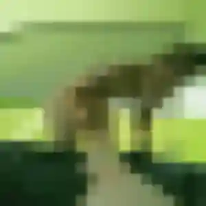Photo sexy de Hind, 42 ans à Vanosc - rencontre sans lendemain