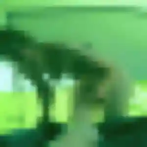 Rabia (45 ans) à Vanves cherche une rencontre ce soir