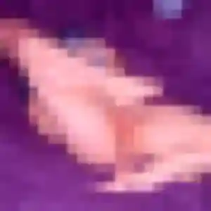 Photo exclusive de Fouzia, 39 ans à Varces-Allières-et-Risset - rencontre coquine