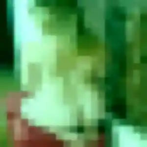 Photo de Fatima à Vauciennes (37 ans) - beurette sans inscription