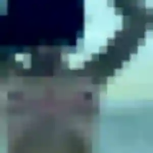Syrine, fille de 37 ans cherche beurette à Vaudoy-en-Brie