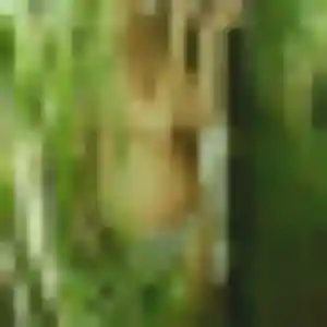 Jolie Soraya, 31 ans à Vaux-sur-Mer - la contacter