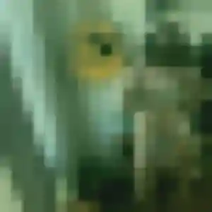 Photo perso de Hind, 25 ans à Vayres-sur-Essonne - rencontre coquine
