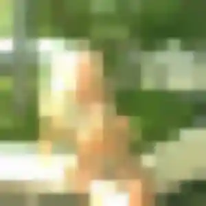 Photo de Zineb à Velaines (26 ans) - beurette anonyme