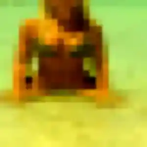 Sexy Nadia, 29 ans à Velleron - voir sa photo