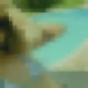 Photo exclusive de Sonia, 22 ans à Verdelot - rencontre coquine