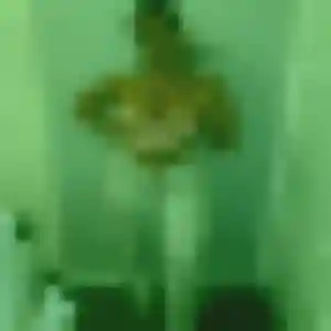 Profil de Alya à Verson (43 ans) - beurette gratuit