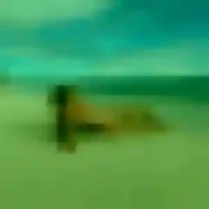 Photo de Sanaa à Vieux-Moulin (33 ans) - beurette gratuit